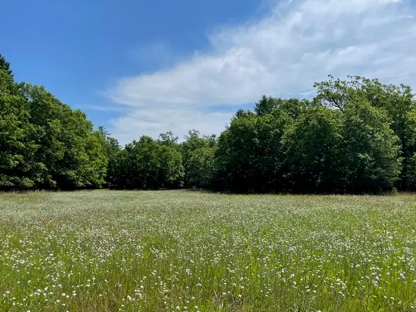 10652 N River Road #E, Irons, MI 49644