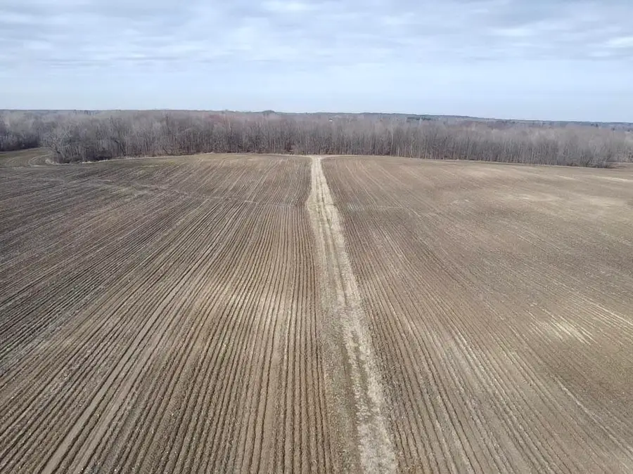Vl E Dodge Rd, Clio, MI 48420 - #3