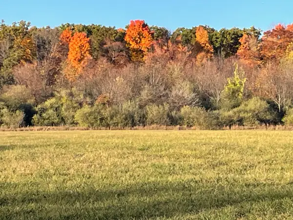 000 VL N Cottonwood Avenue, Big Rapids, MI 49307