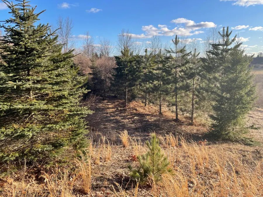 000 VL N Cottonwood Avenue, Big Rapids, MI 49307 - #2