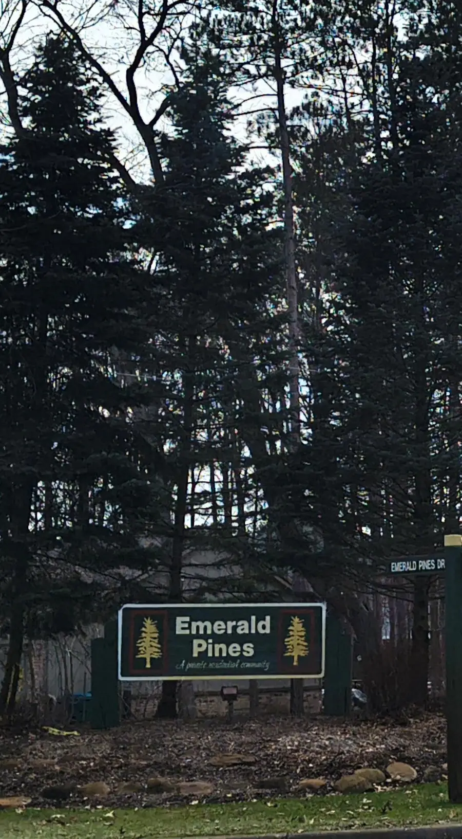 4031 Emerald Pines Drive, Commerce Township, MI 48390 - #2