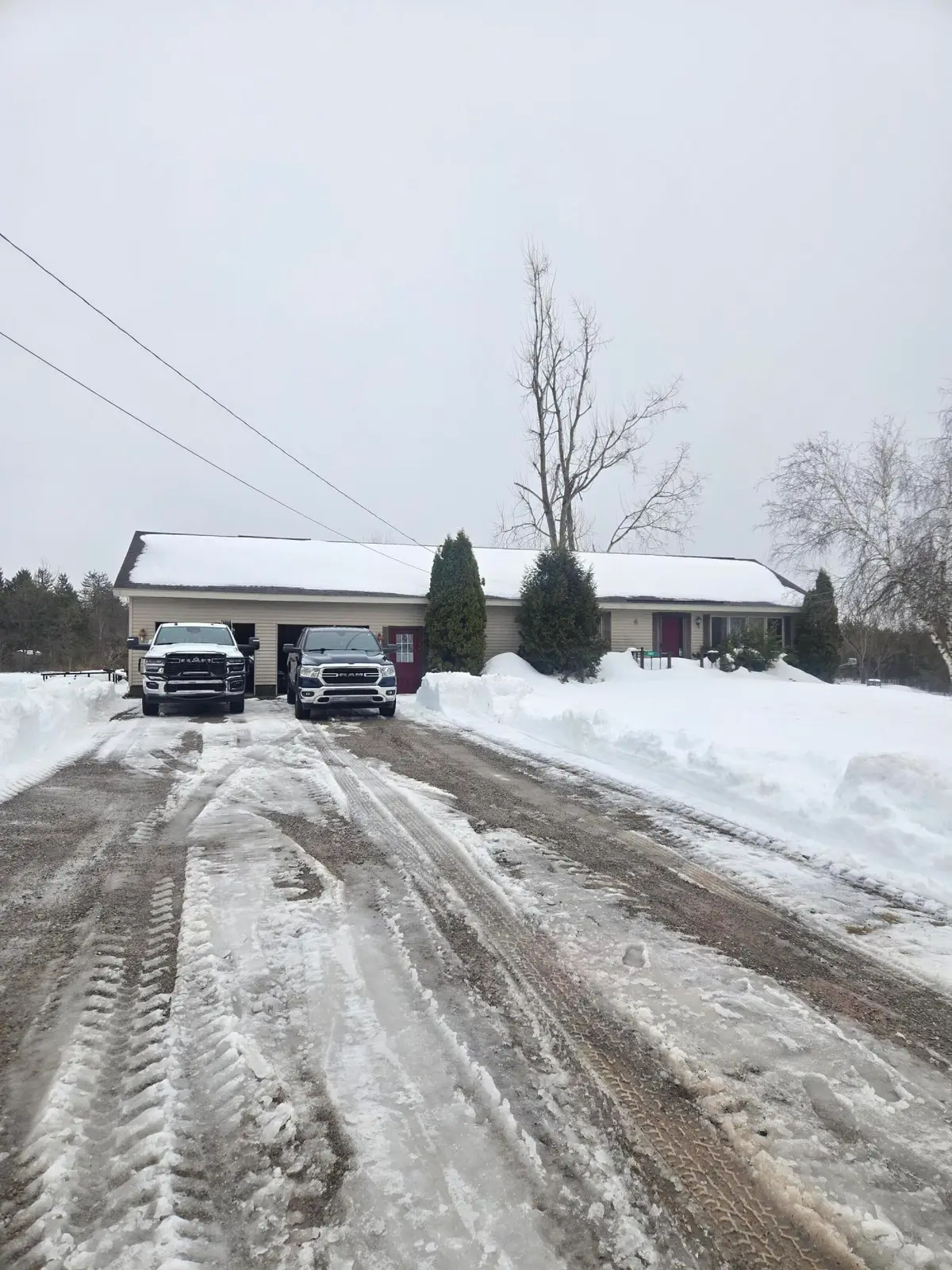 7887 Randolph Street, Vanderbilt, MI 49795 - #1