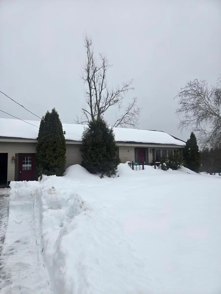 7887 Randolph Street, Vanderbilt, MI 49795 - #2