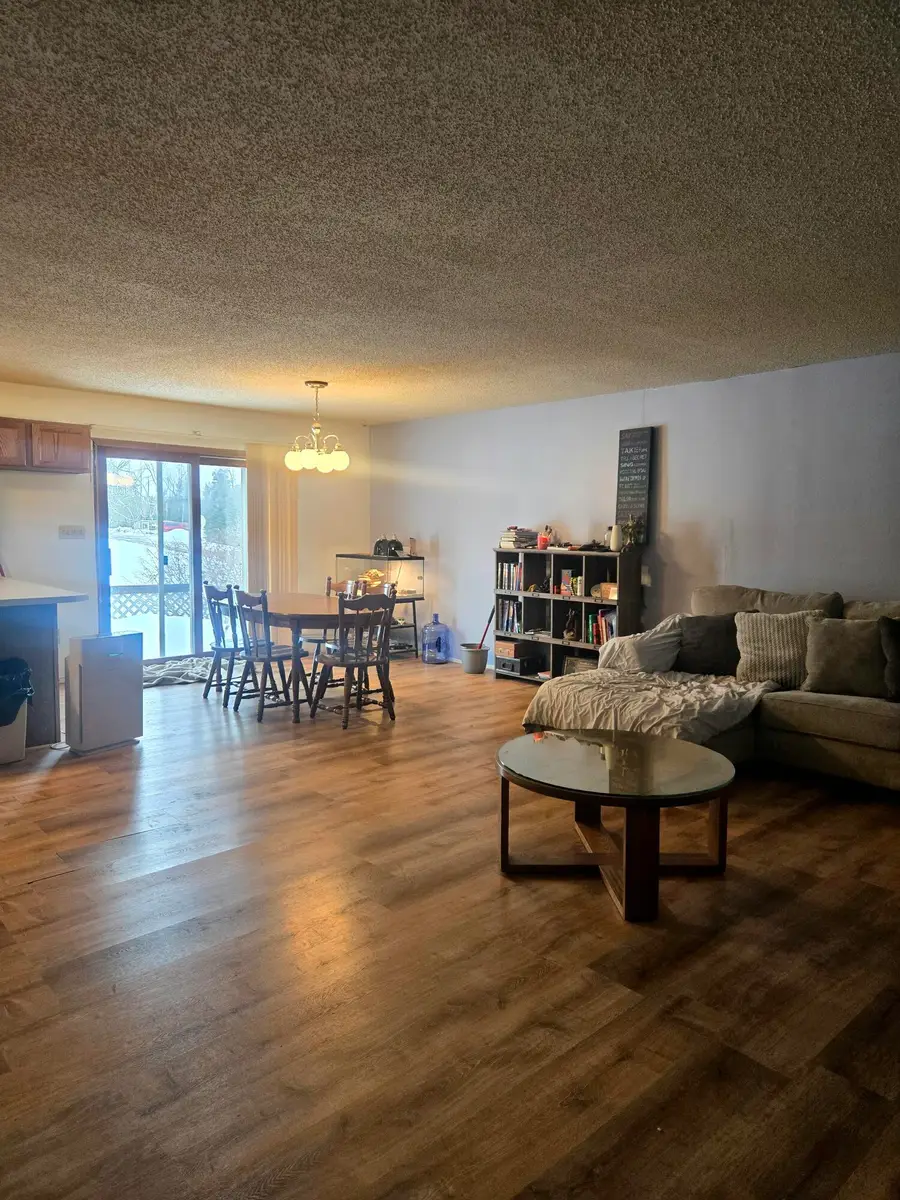 7887 Randolph Street, Vanderbilt, MI 49795 - #3