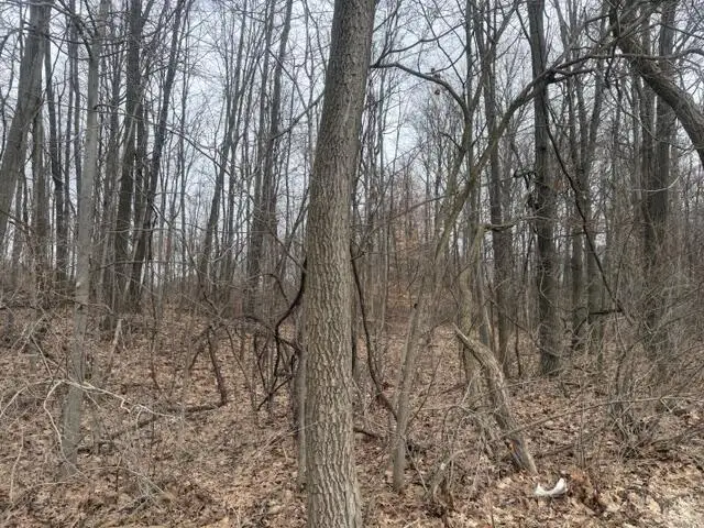 6497 E 128th Street, Sand Lake, MI 49343 - #1