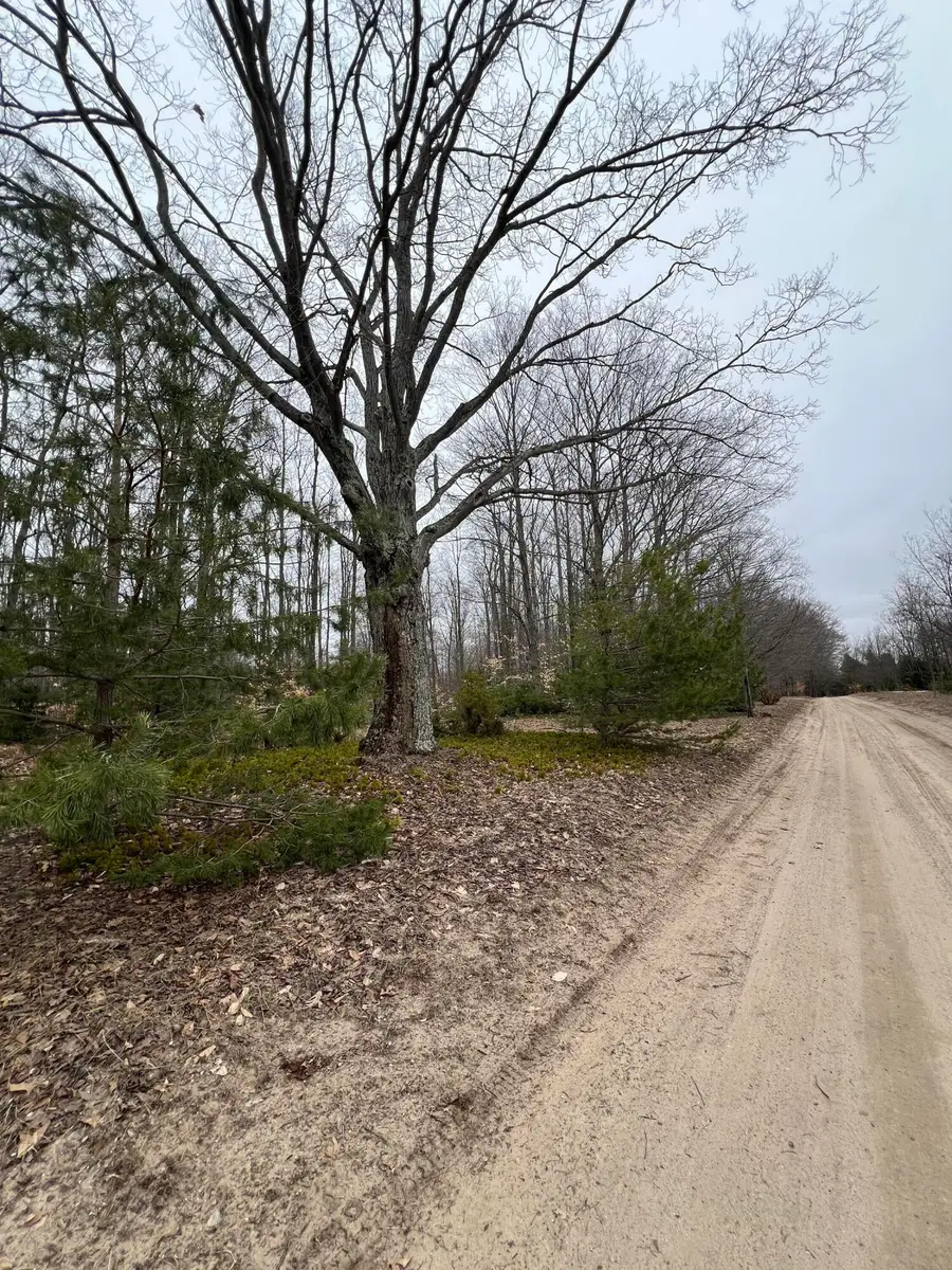 N Dennis Road, Ludington, MI 49431 - #2
