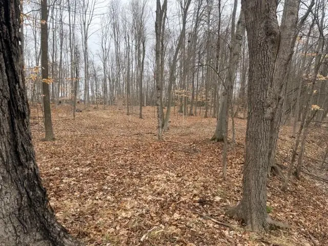 2119 W 116th Street, Grant, MI 49327 - #1