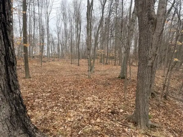 2119 W 116th Street, Grant, MI 49327