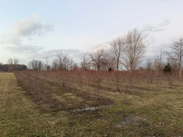 73122 36th Avenue, Covert, MI 49043