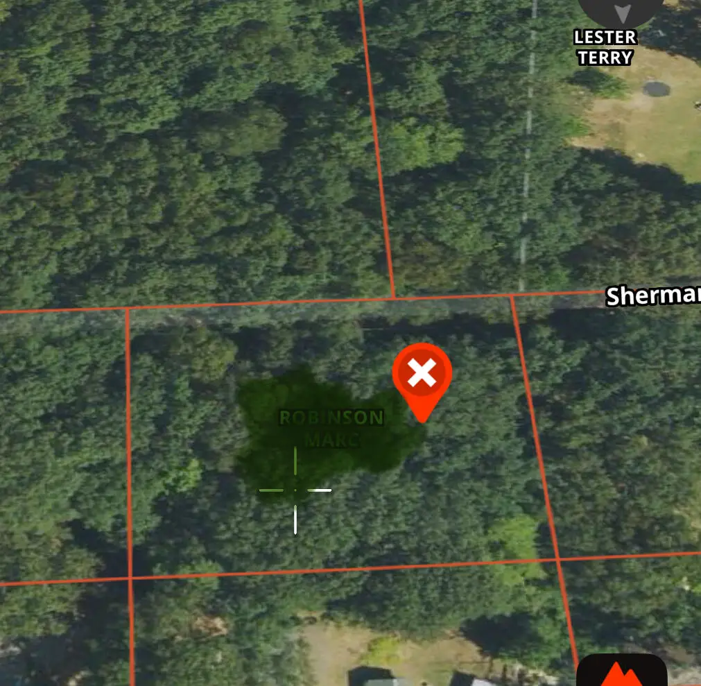 VL Sherman Road, Fountain, MI 49410 - #1