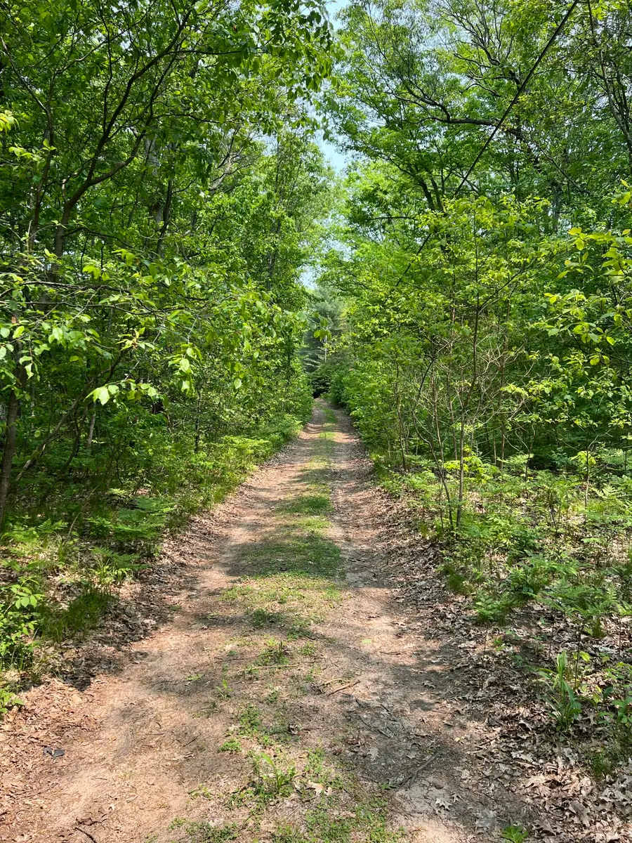 VL Sherman Road, Fountain, MI 49410 - #3