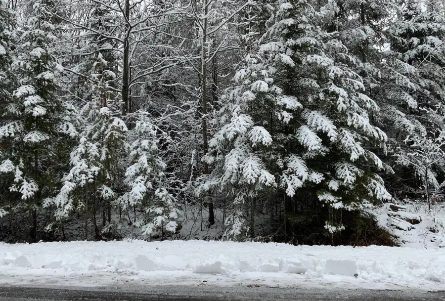 E Norwood Court W, Presque Isle, MI 49777 - #3