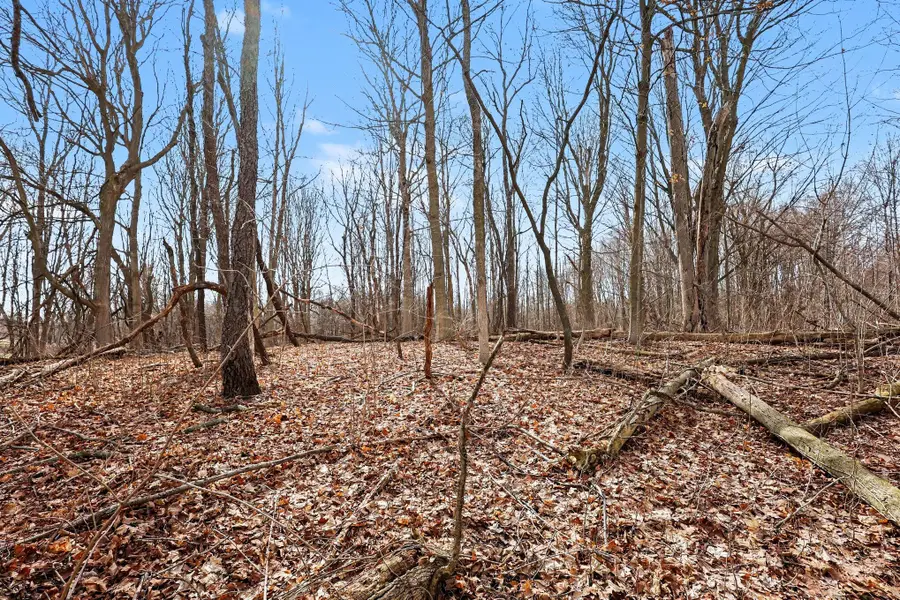 126th/63rd Corner V/l, Fennville, MI 49408 - #3