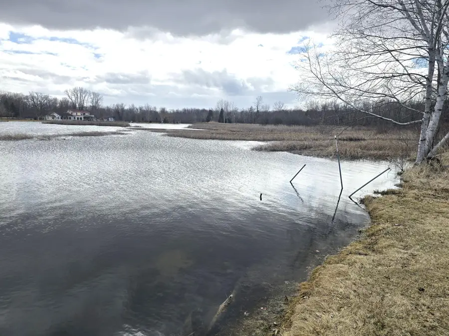 10631 Maple Drive, Riverdale, MI 48877 - #2