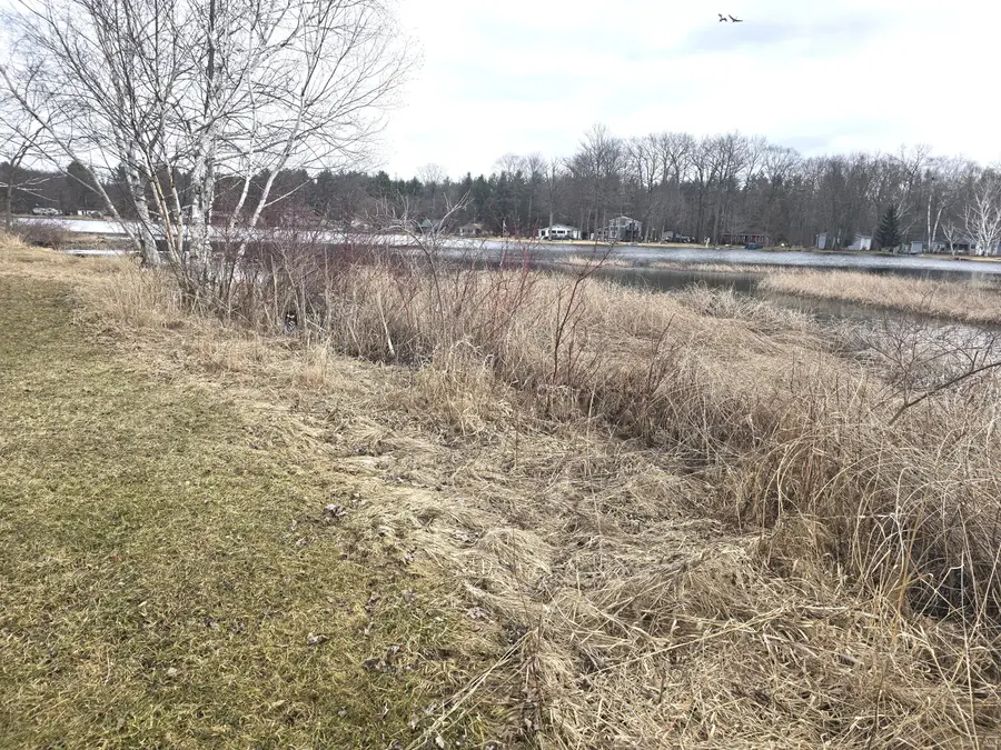 10631 Maple Drive, Riverdale, MI 48877 - #3