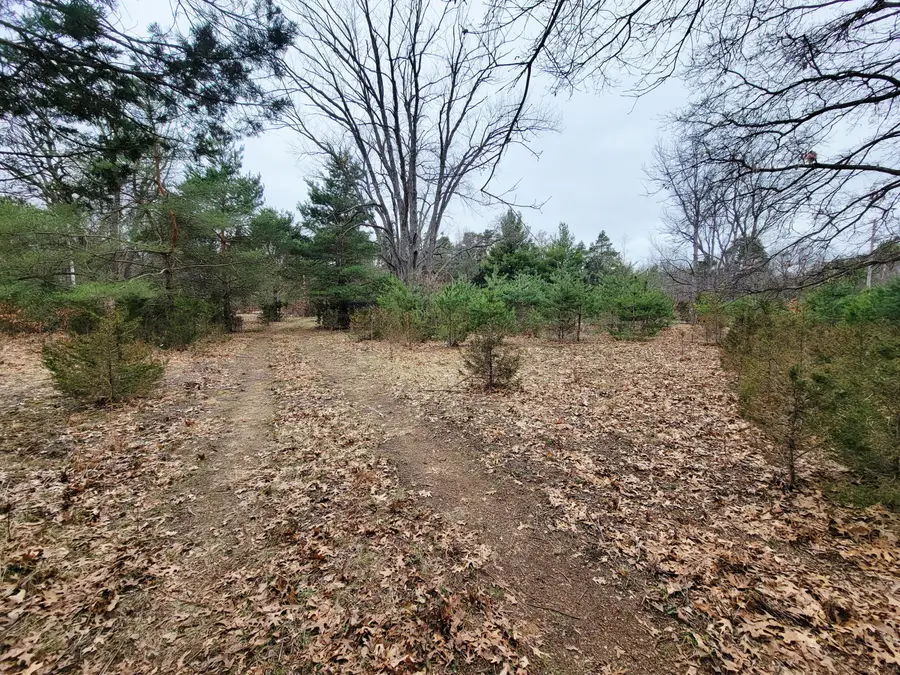 1217 58th Street, Pullman, MI 49450 - #2