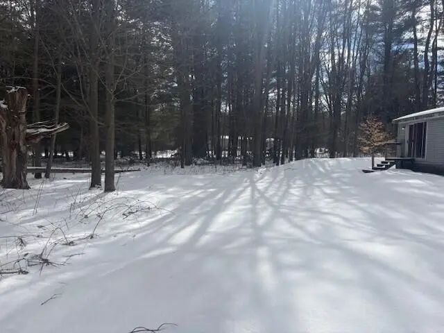 8404 Independence Avenue, Cadillac, MI 49601 - #3