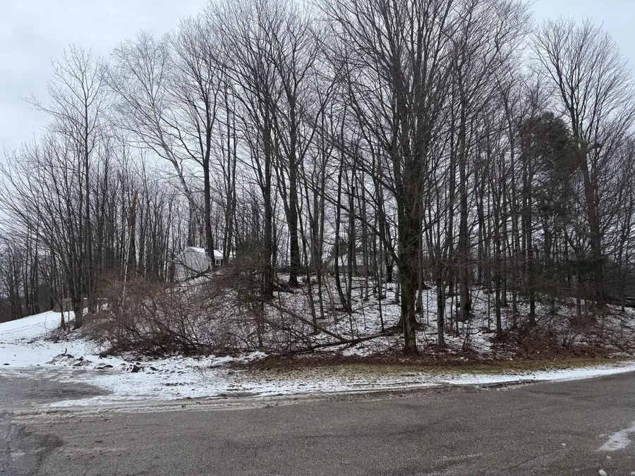 W Snead Drive, Ludington, MI 49431 - #2