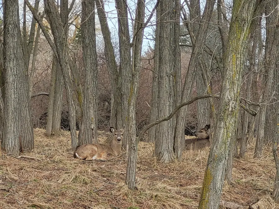 0 Twelfth Street, Manistee, MI 49660 - #2