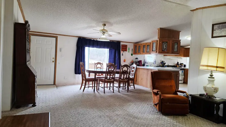 7272 Cedar Lake Road Ne, Edmore, MI 48829 - #2