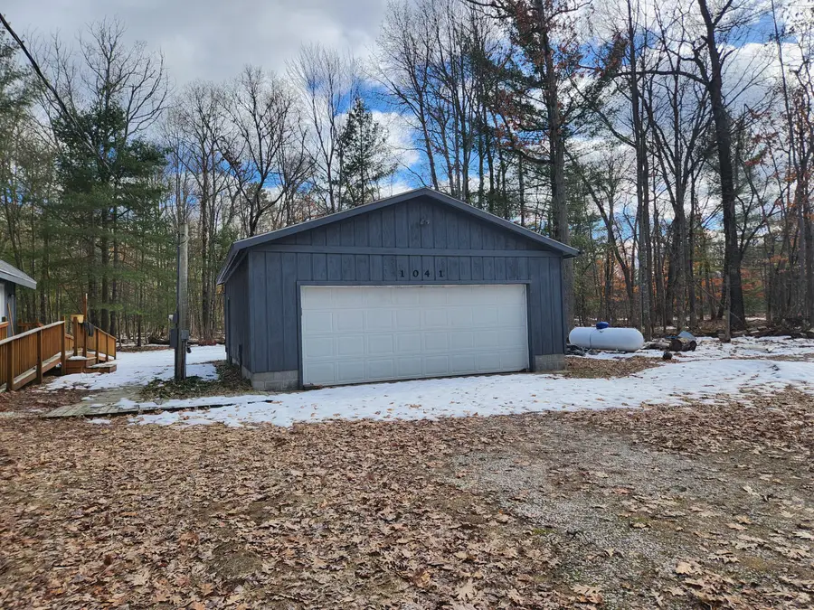 1041 Wolf Lake Drive, Baldwin, MI 49304 - #2