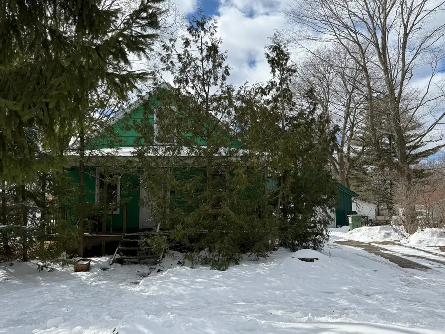 903 Cotey Street, Cadillac, MI 49601 - #2