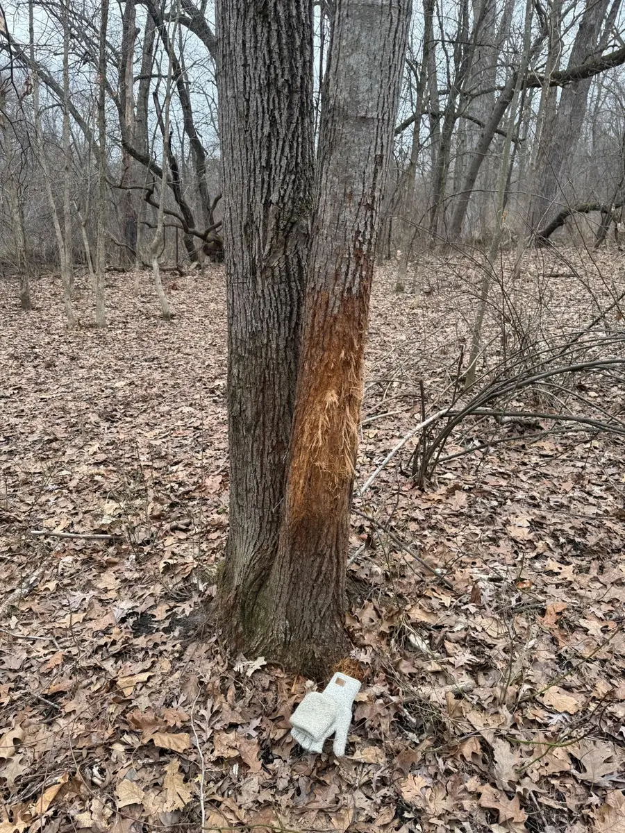 Portage Road, Niles, MI 49120 - #2