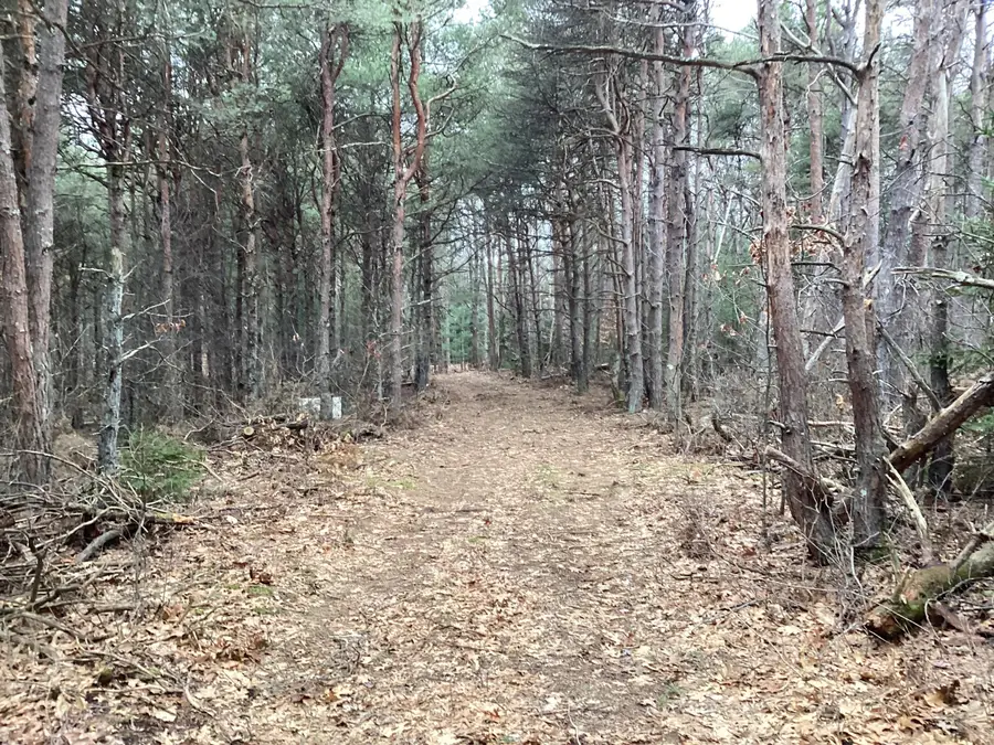 2510 W Winston Road, Rothbury, MI 49452 - #3