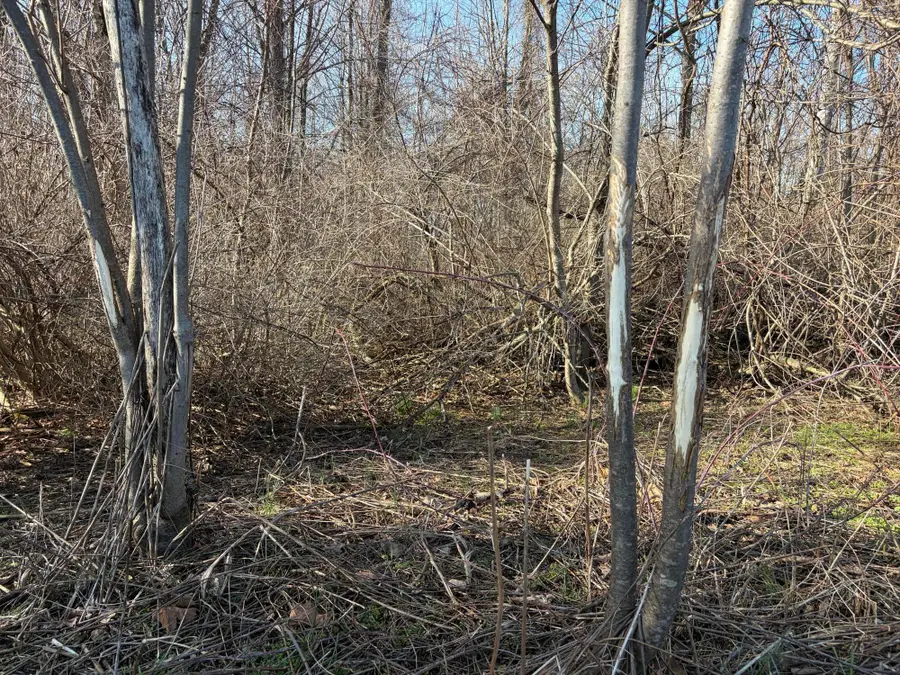 V/l County Road 681, Hartford, MI 49057 - #3