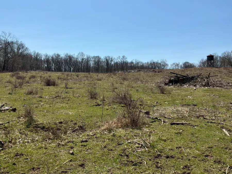 Vl Wellman Rd, Parma, MI 49269 - #3