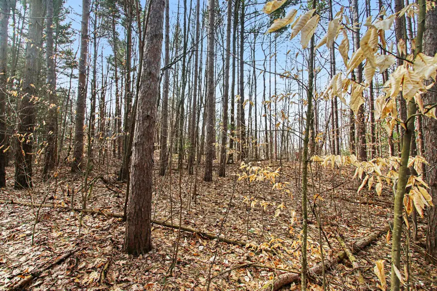 5818 Hunters Ridge, Fennville, MI 49408 - #2