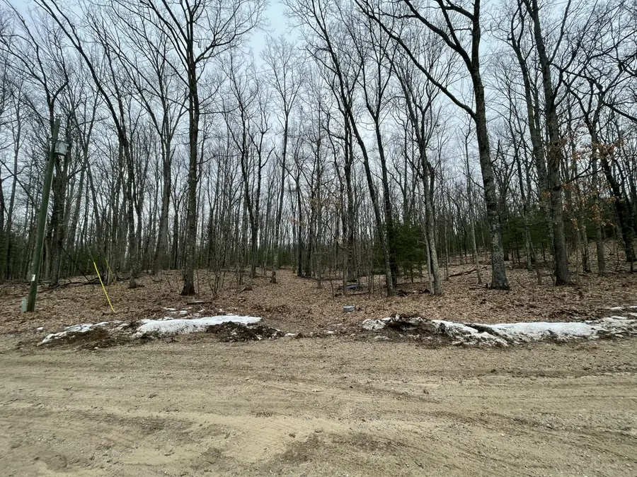 V/L W Deer Track Trail #Parcel A-4, Irons, MI 49644 - #2