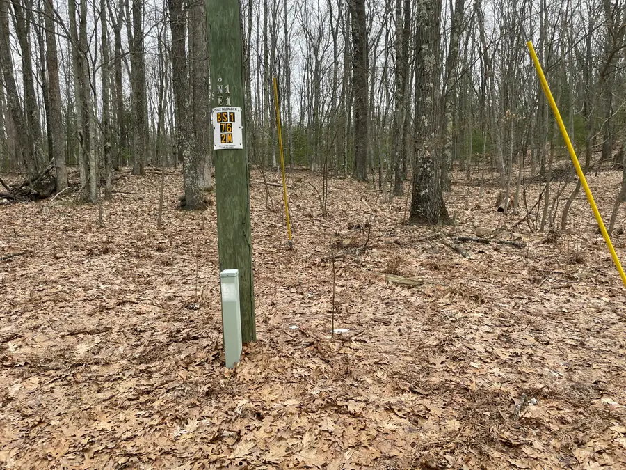 V/L W Deer Track Trail #Parcel A-4, Irons, MI 49644 - #3