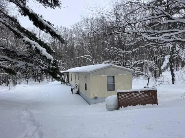 40+/- Acres 48th Street, Chase, MI 49623 - #1