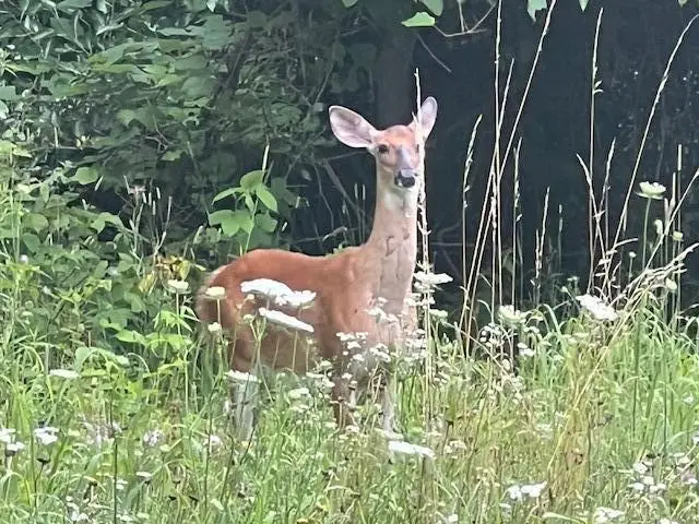 0000 Oak Ridge Hills #7, Marshall, MI 49068 - #2