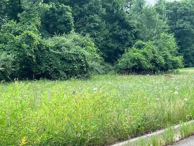 0000 Oak Ridge Hills #7, Marshall, MI 49068 - #3