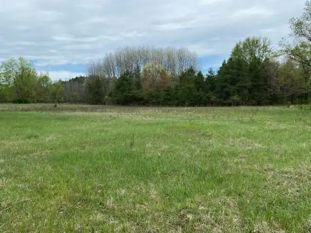 3878 E 2 Mile Road, White Cloud, MI 49349 - #1