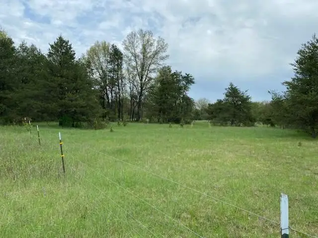 3878 E 2 Mile Road, White Cloud, MI 49349 - #2