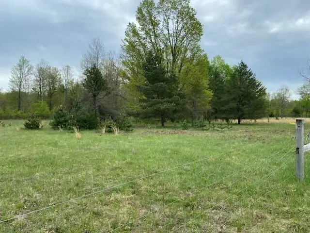 3878 E 2 Mile Road, White Cloud, MI 49349 - #3