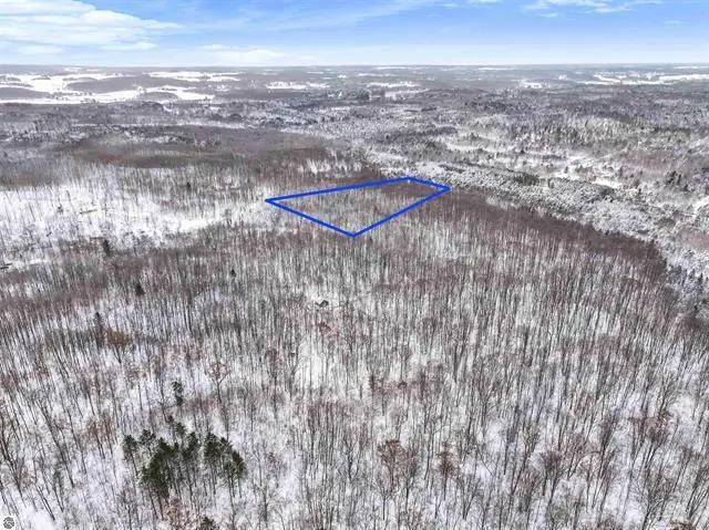 0 W Falmouth Rd, Cadillac, MI 49601 - #3