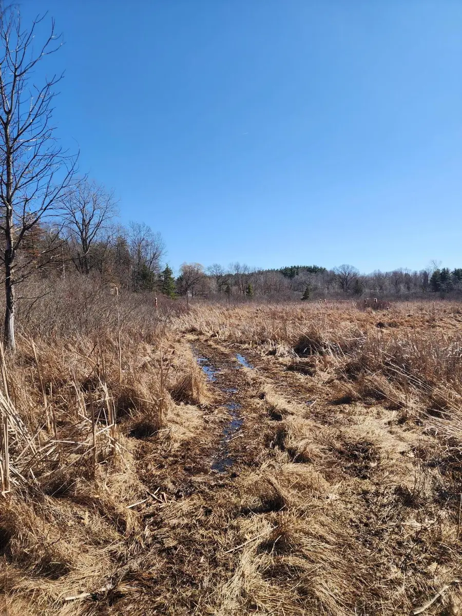 12 Mile Road, Ceresco, MI 49033 - #2