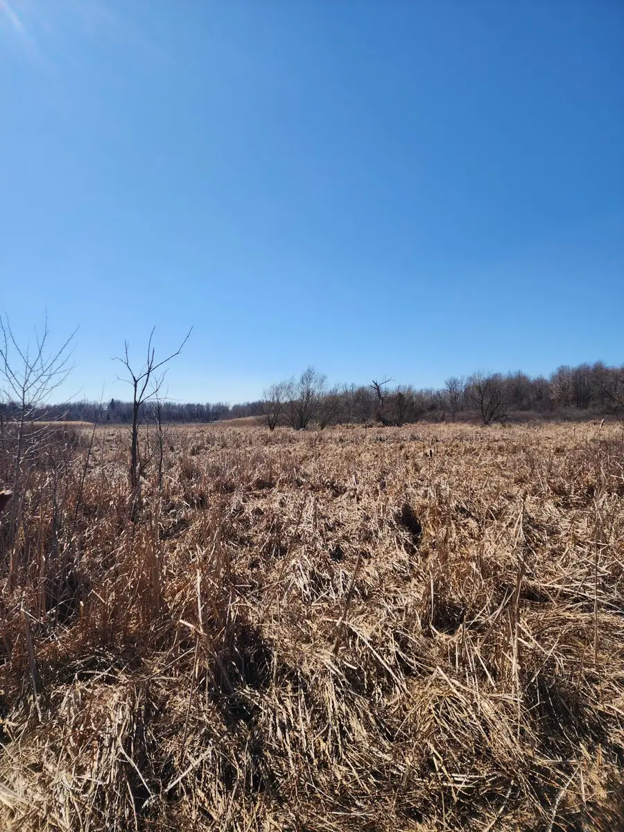 12 Mile Road, Ceresco, MI 49033 - #3