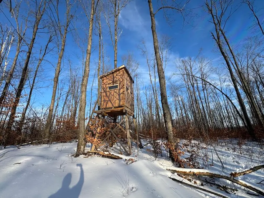 80 acres Galbrith Road, Mio, MI 48647 - #3