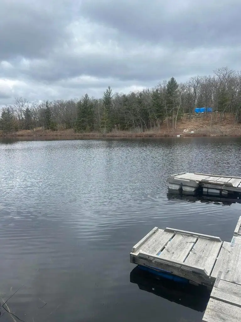 00 Perch Lake Drive, Bitely, MI 49309 - #3