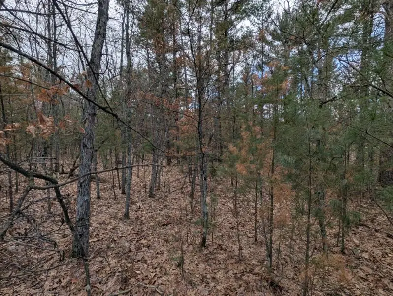 1365 Estate Street #2, Whitehall, MI 49461 - #2