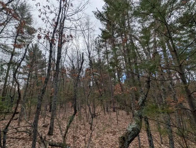 1365 Estate Street #2, Whitehall, MI 49461 - #3