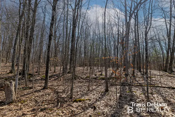 9310 S Benjamin Drive, Newaygo, MI 49337