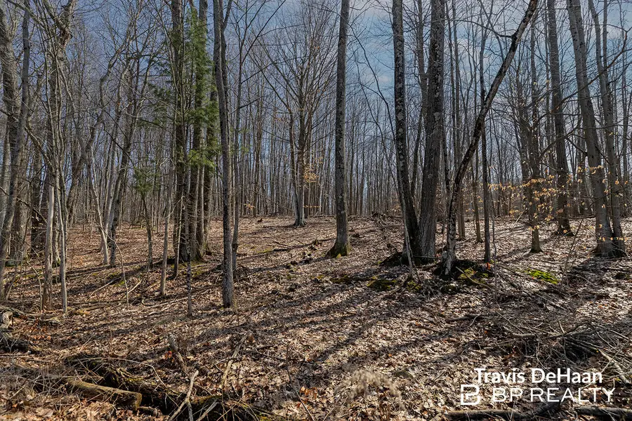 9310 S Benjamin Drive, Newaygo, MI 49337 - #2