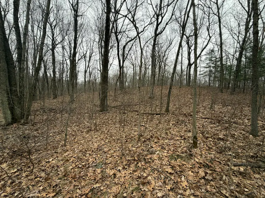 0 Wheat Lane, Lowell, MI 49331 - #2