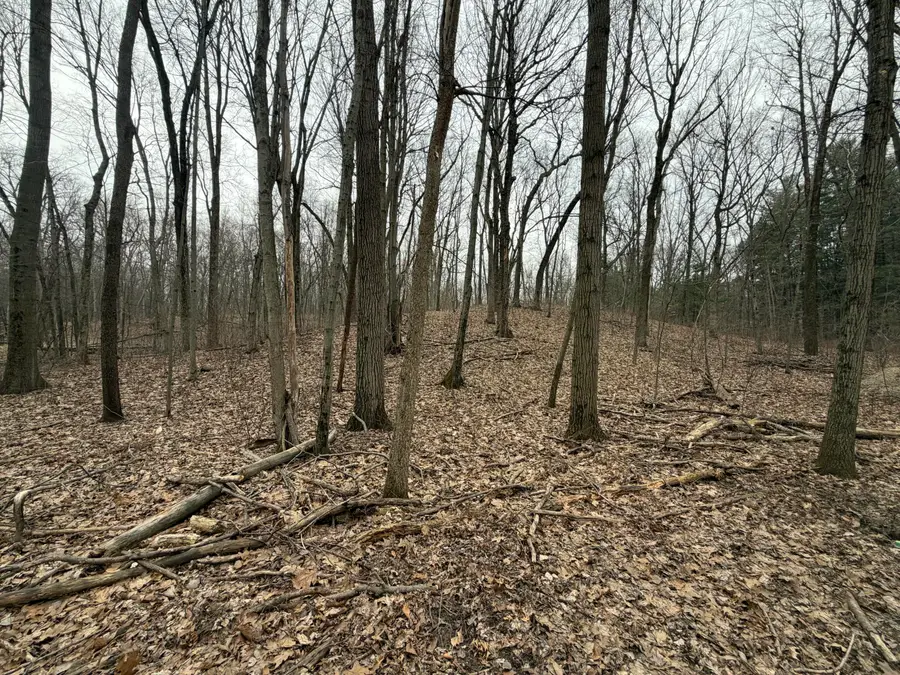 0 Wheat Lane, Lowell, MI 49331 - #3